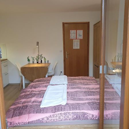 Apartmaji Pri Medvedu Studio Rudnica Бохин Екстериор снимка