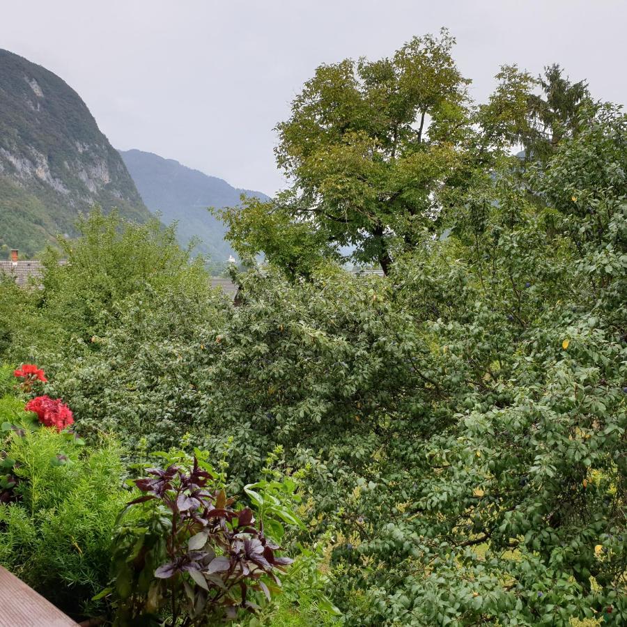 Apartmaji Pri Medvedu Studio Rudnica Бохин Екстериор снимка